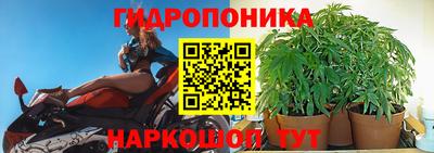 ГАЛЛЮЦИНОГЕННЫЕ ГРИБЫ Кимры