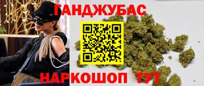 мдпв Кингисепп