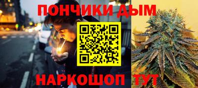 мдпв Кингисепп