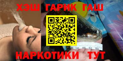 мдпв Кингисепп